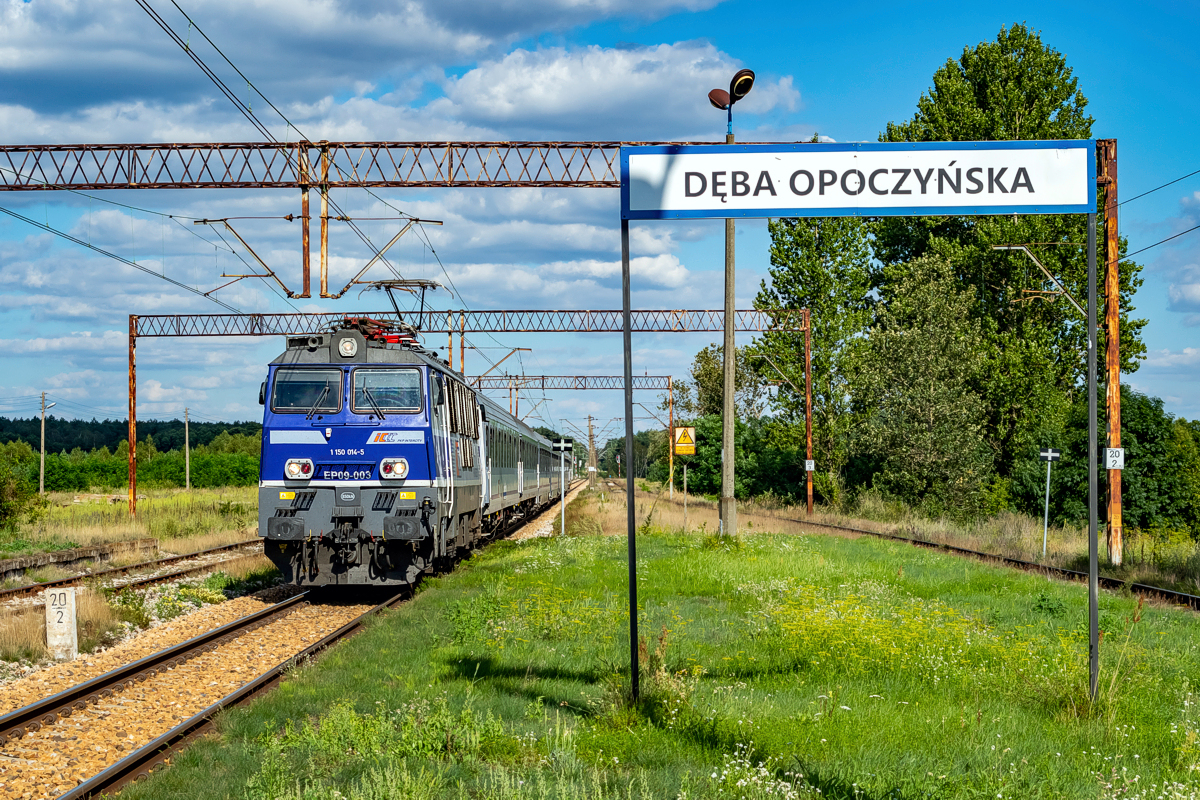 EP09-003: Dęba Opoczyńska