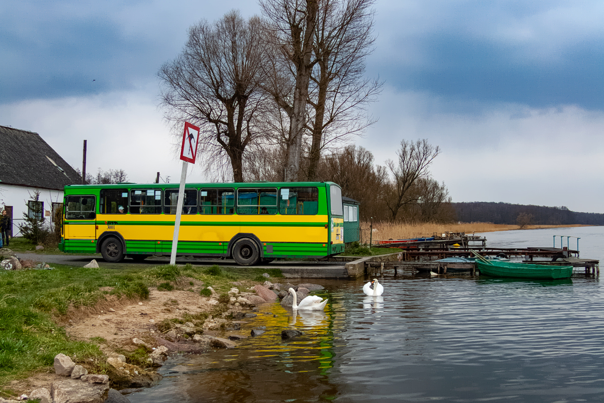 Jelcz M11 #3001