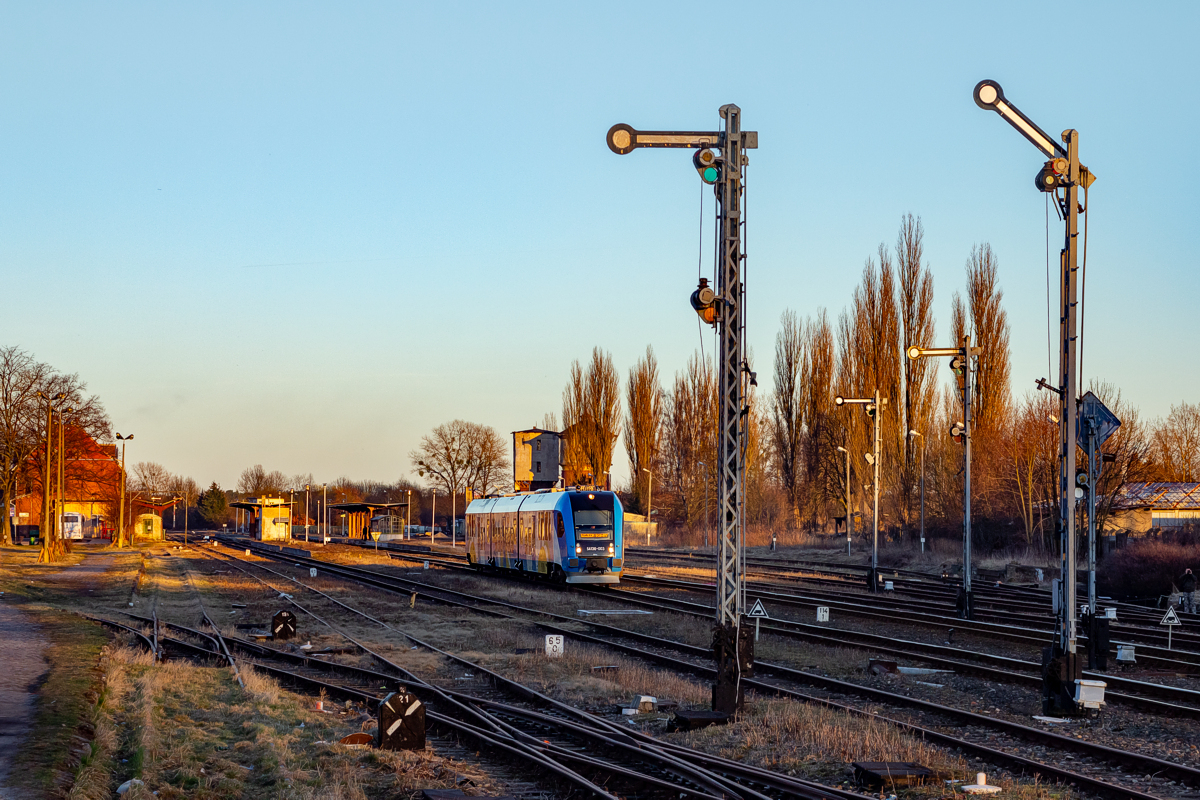 SA136-004: Złocieniec