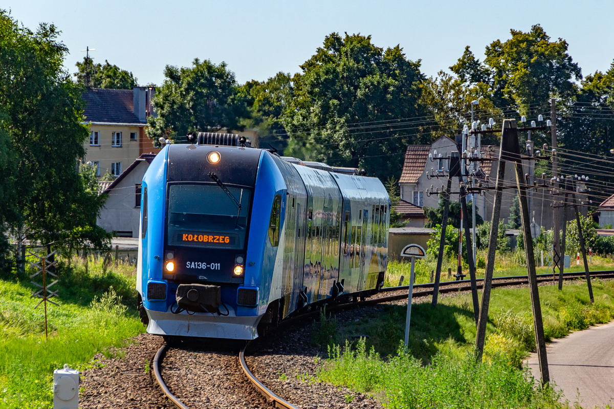 SA136-011: Płoty