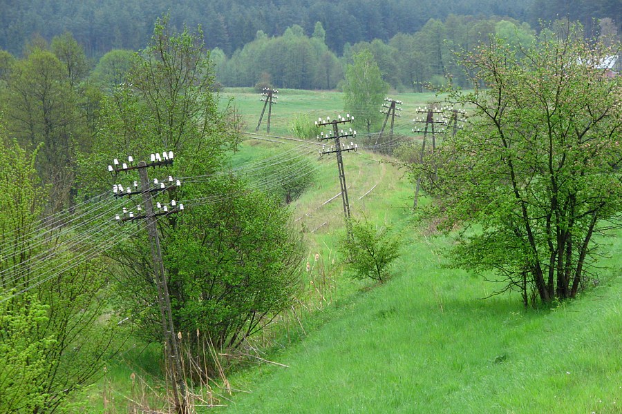 05.2010: Dąbrówka Bytowska - Borzytuchom