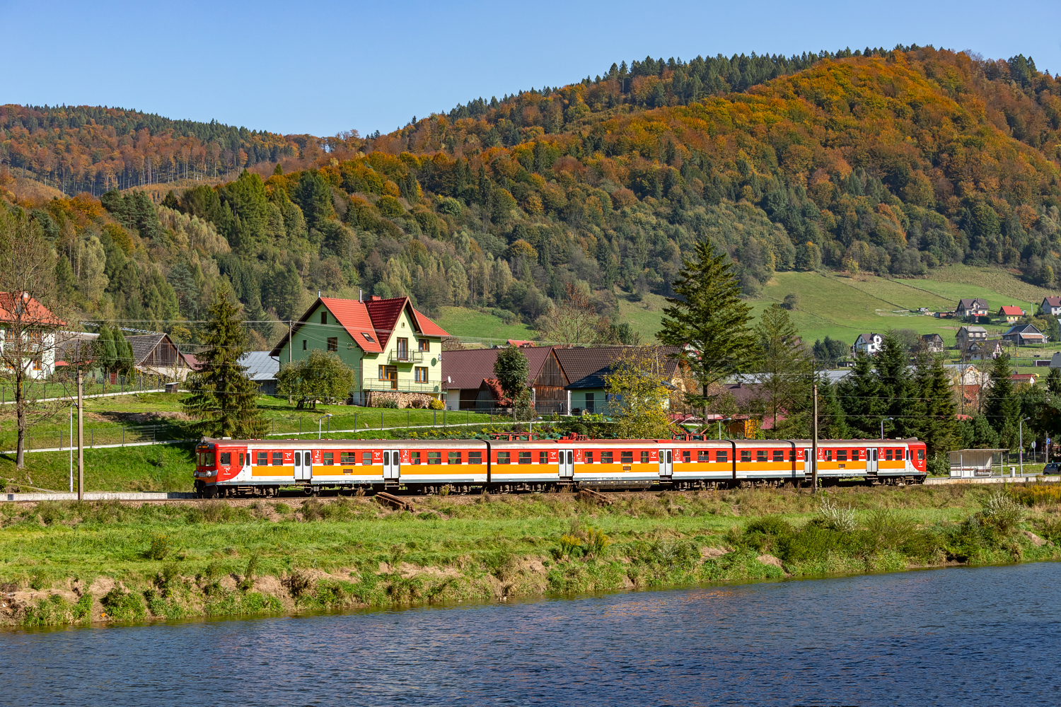 EN57-1129: Zubrzyk