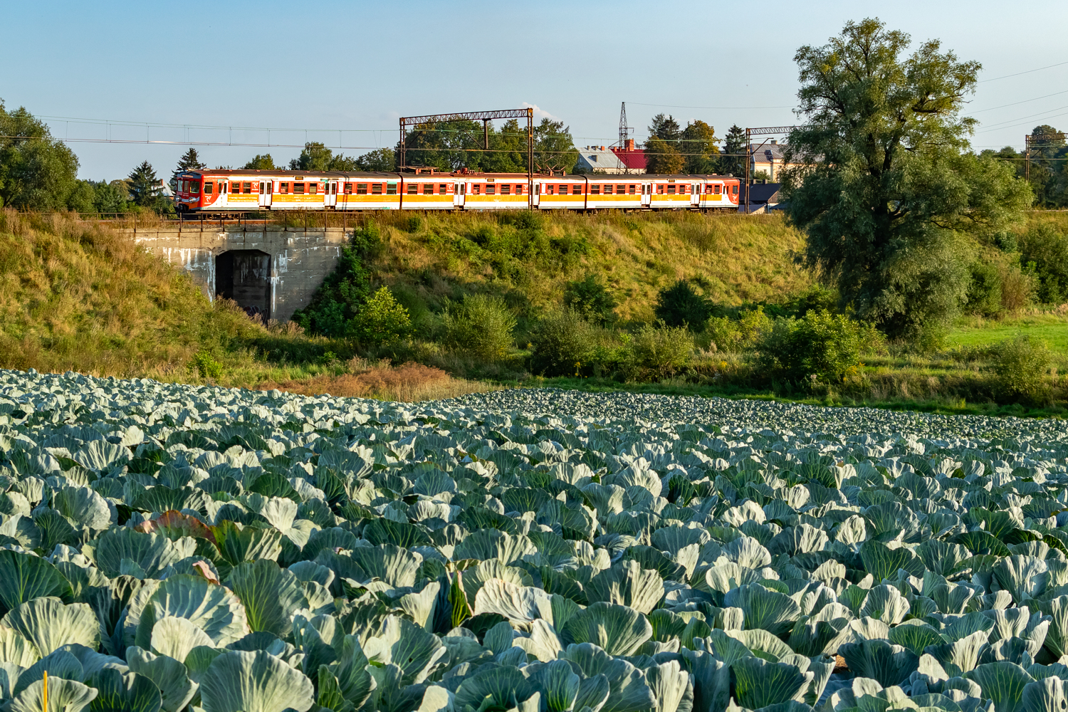 EN57-1331: Charsznica - Tunel