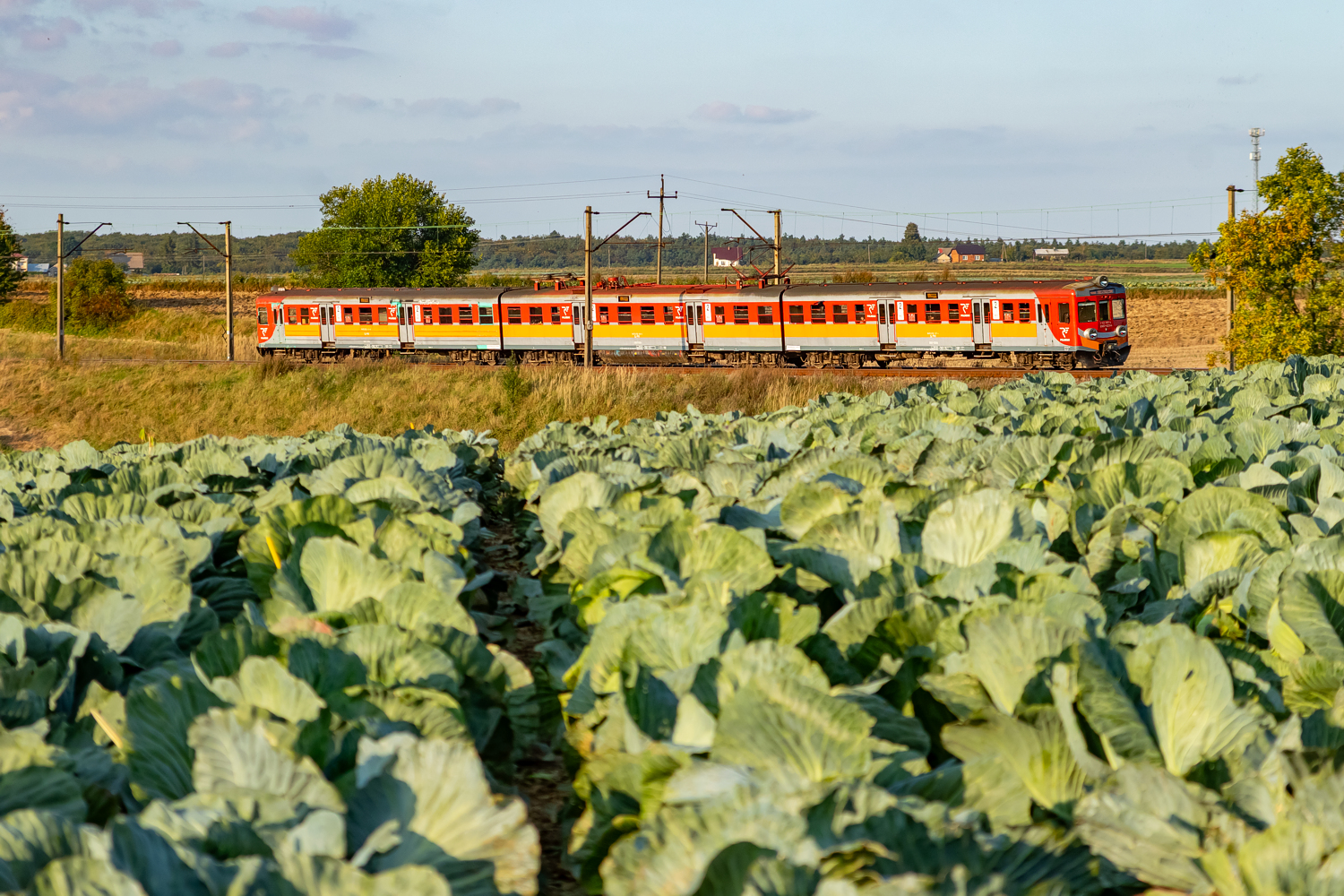 EN57-1331: Charsznica - Tunel