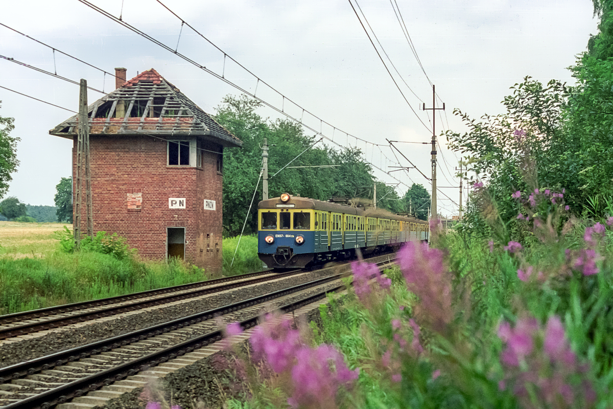 EN57-664+1025: Torzym - Boczów (Pniów)