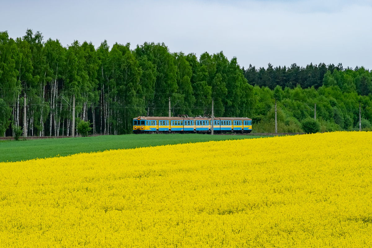 EN57-796: Mieszkowice - Boleszkowice