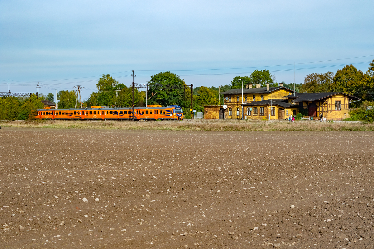 EN57AL-2101: Złotniki