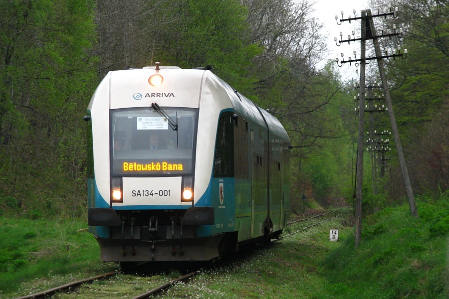 SA134-001