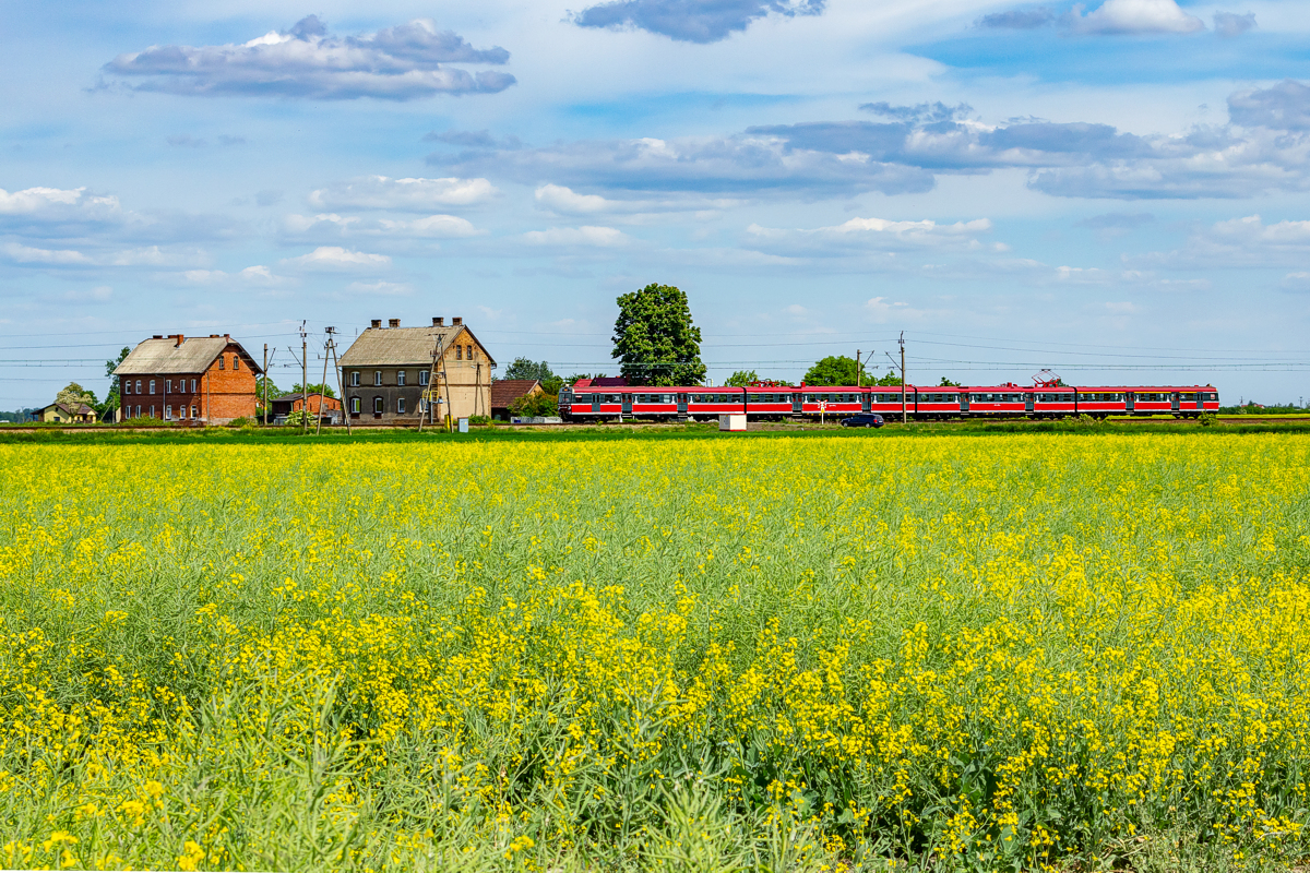 ED72-018: Szamotuły - Pęckowo