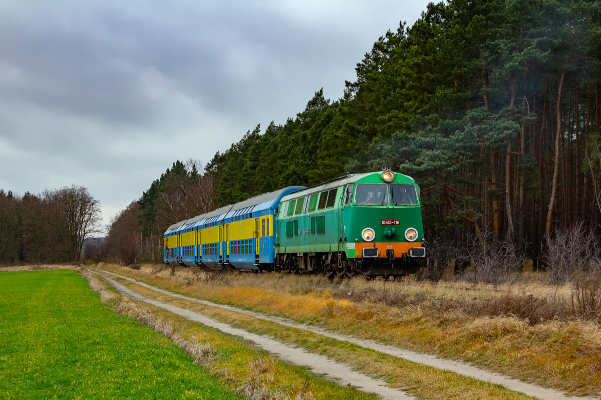 SU45-116: Góra Śląska - Borszyn Mały