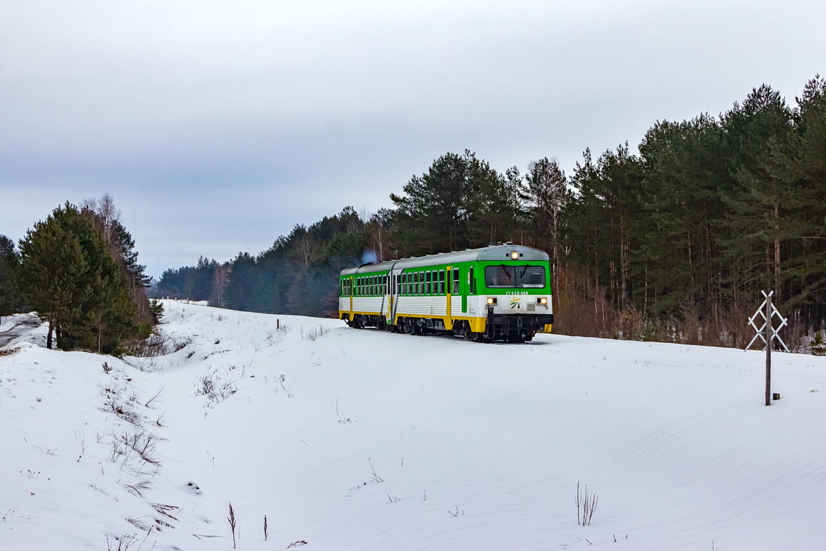 VT628-009: Czeremcha - Borowiki