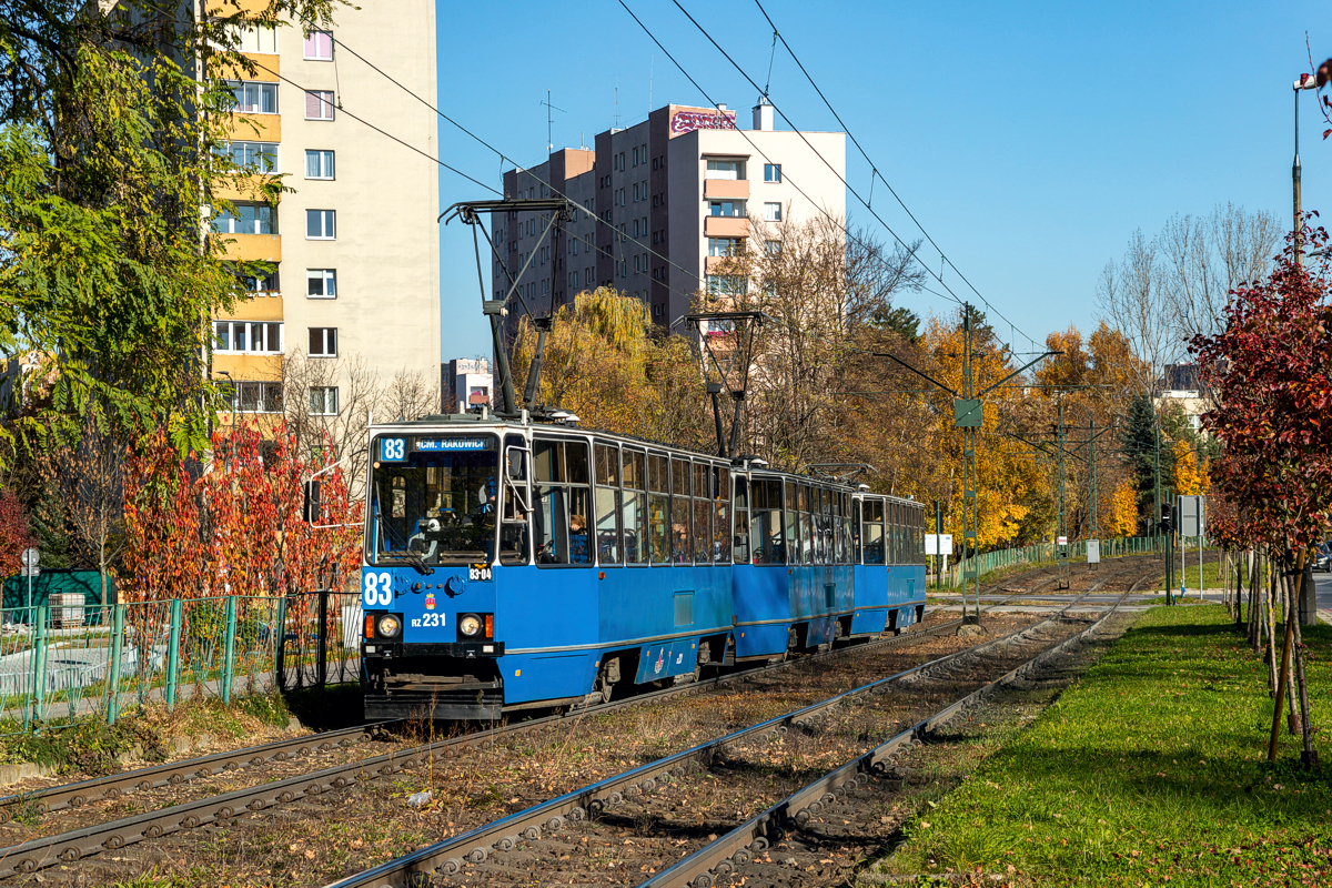 105Na #RZ231+RZ232+RZ239: Kraków, ul. Teligi