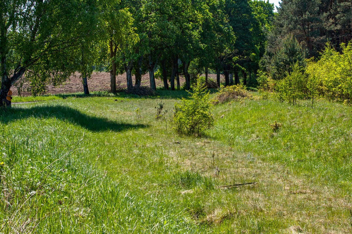 Resko-Gościno: Kepieniec
