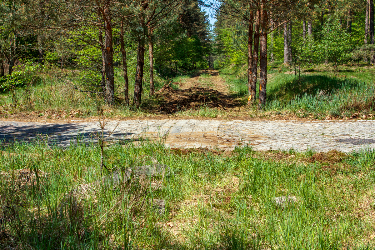 Resko-Gościno: Ostrobodno - Skrzydłowo