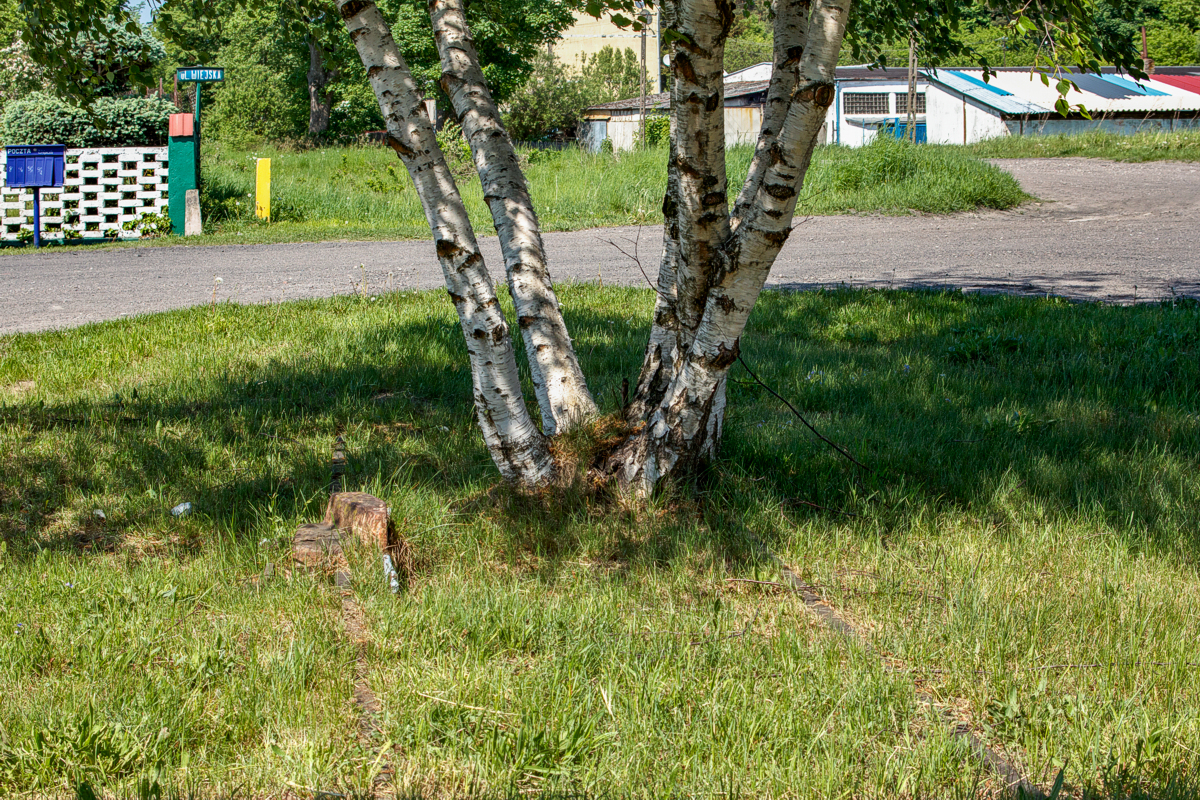 Resko-Gościno: Rymań