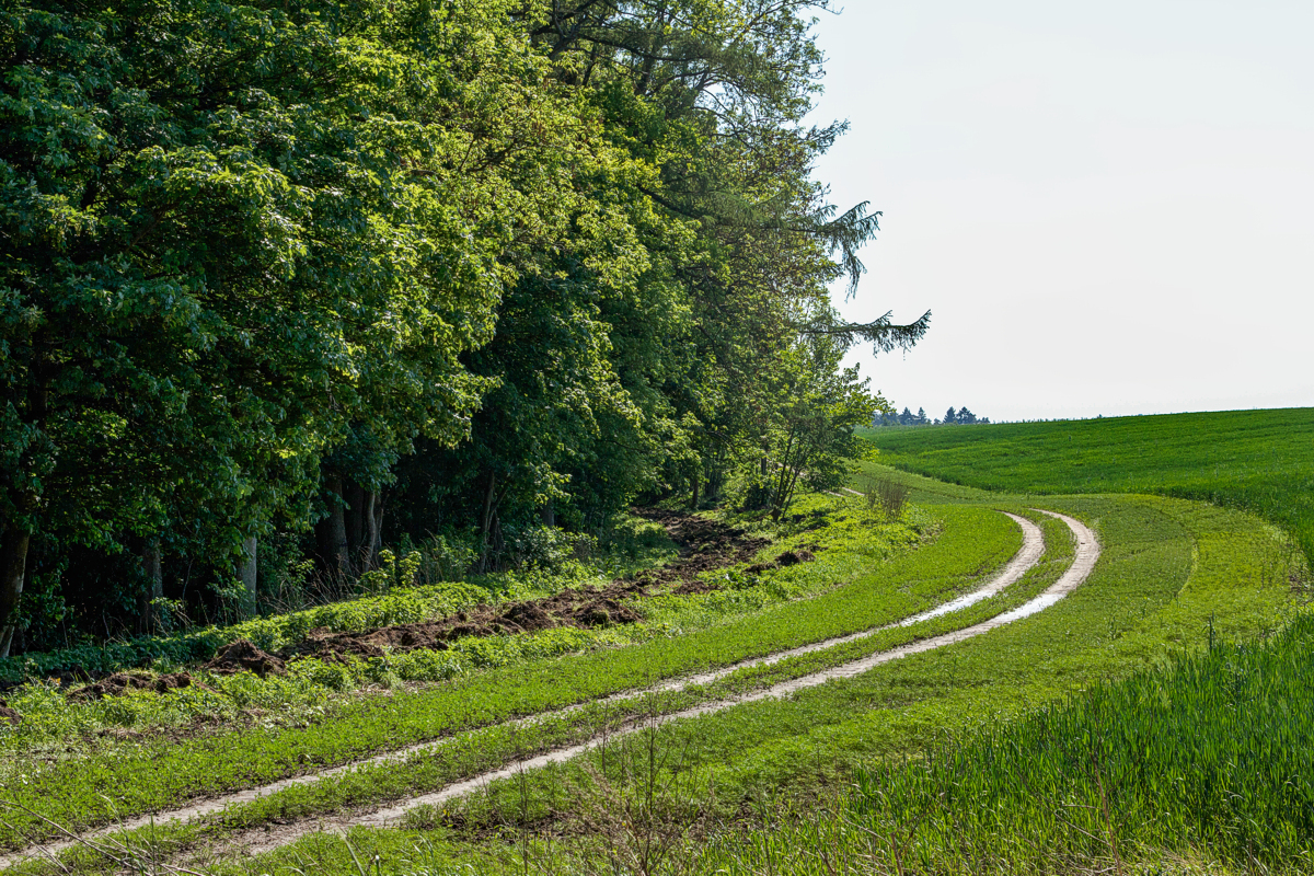 Resko-Gościno: Trzynik