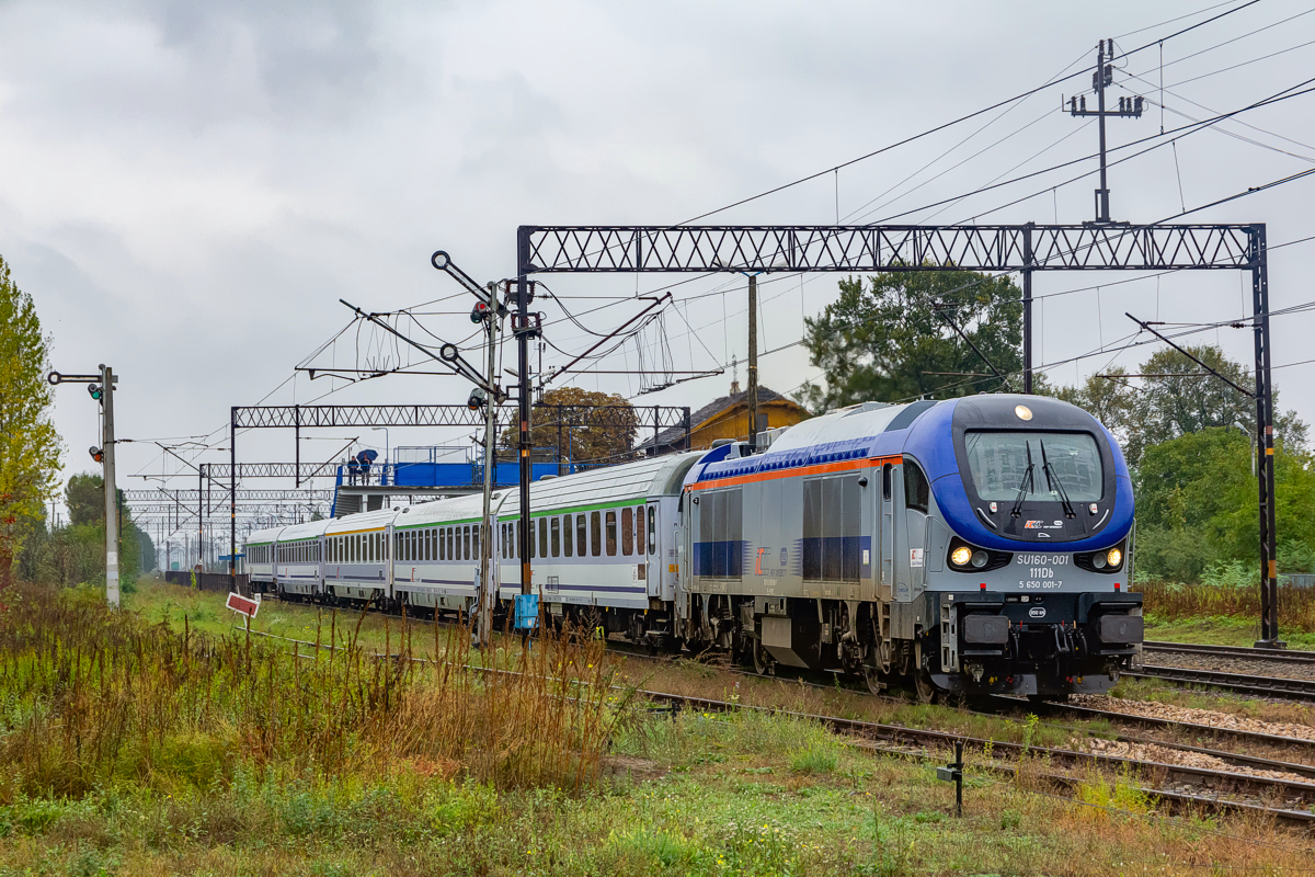 SU160-001: Grodzisko Dolne