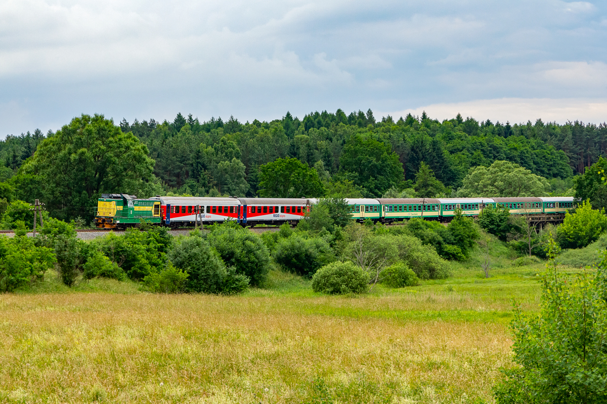SP32-202: Gryfice - Gąbin