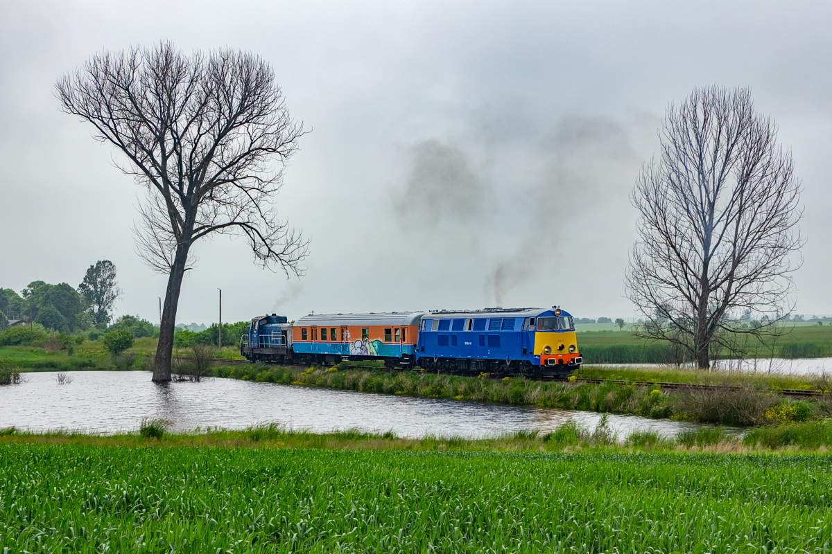 301Db-141: Kostrzyn - Krześnica Sarbinowo