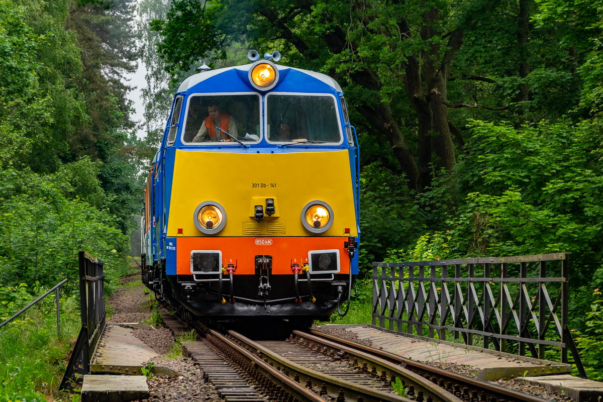 301Db-141: Cychry - Dębno Lubuskie