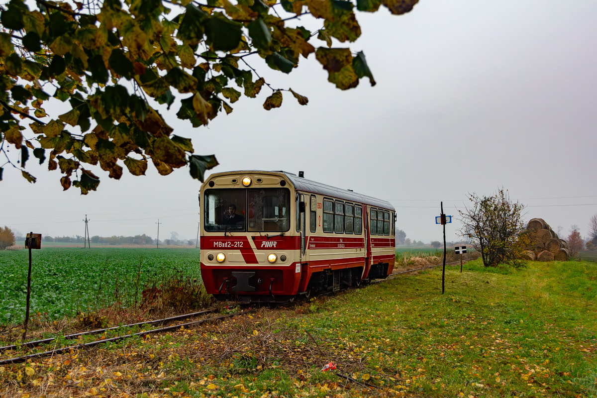 MBxd2-212: Tuja
