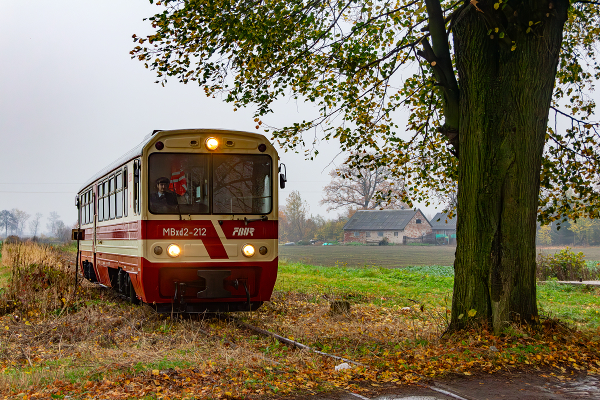 MBxd2-212: Tuja