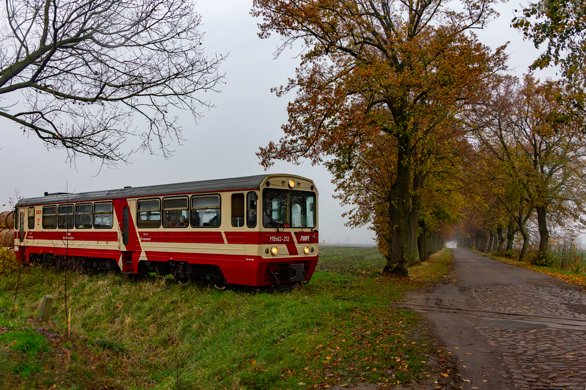MBxd2-212: Tuja