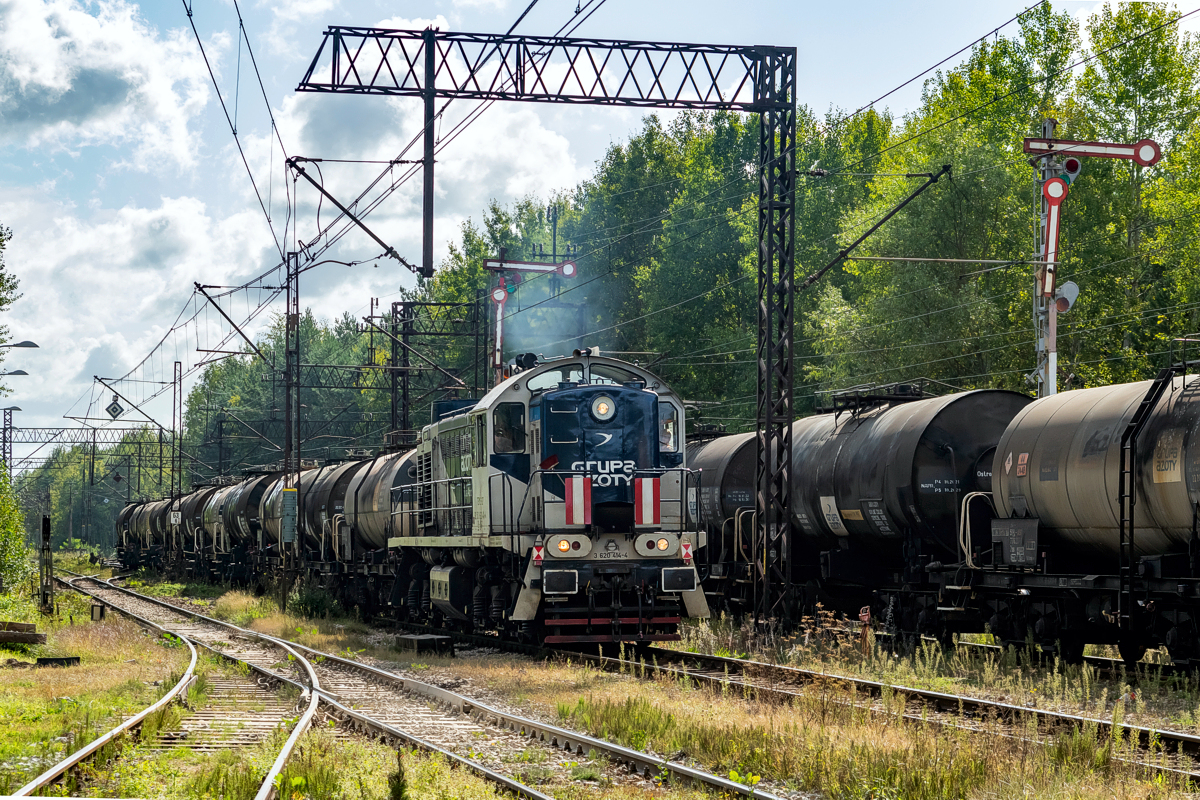 TEM2-127: Strzegomek