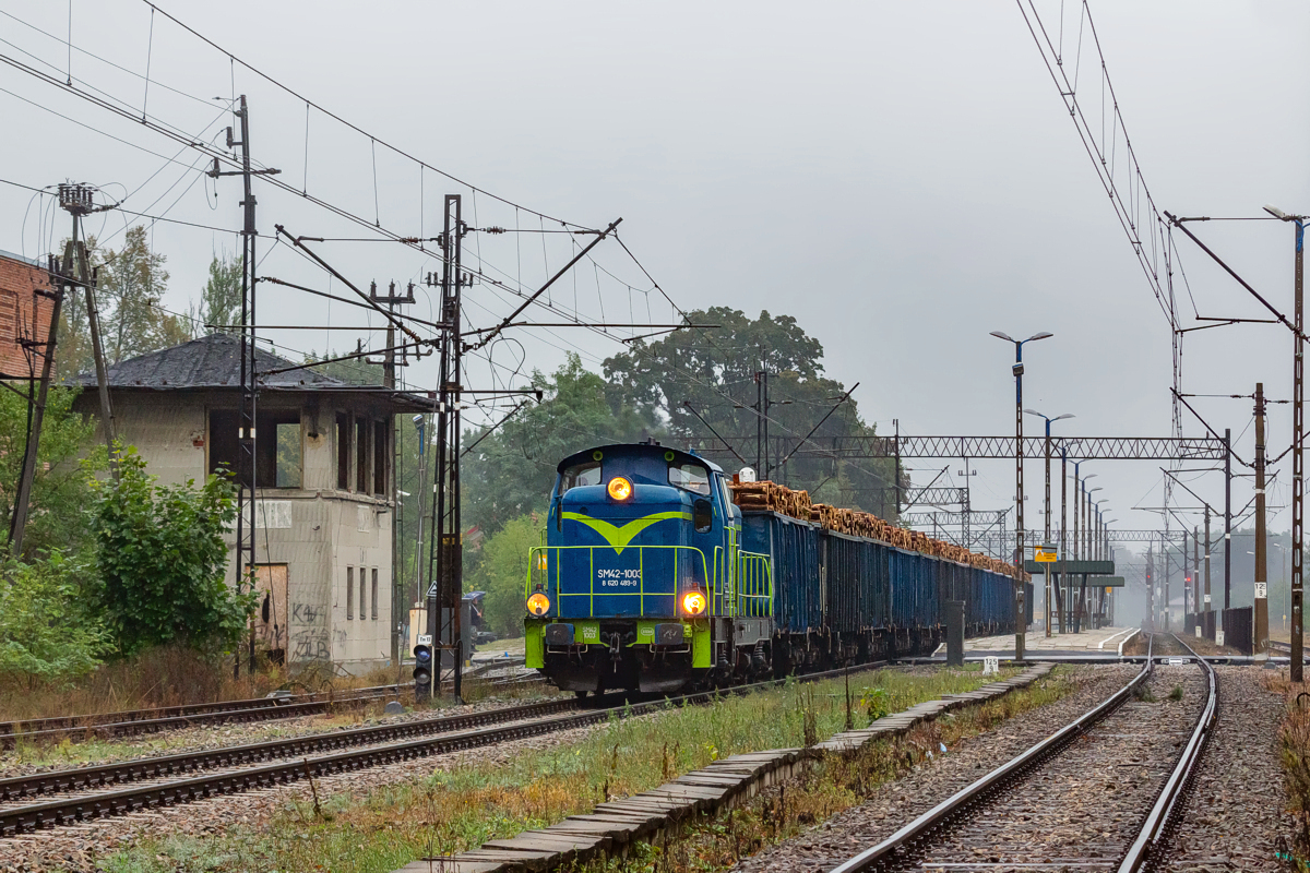 SM42-1003: Rudnik nad Sanem