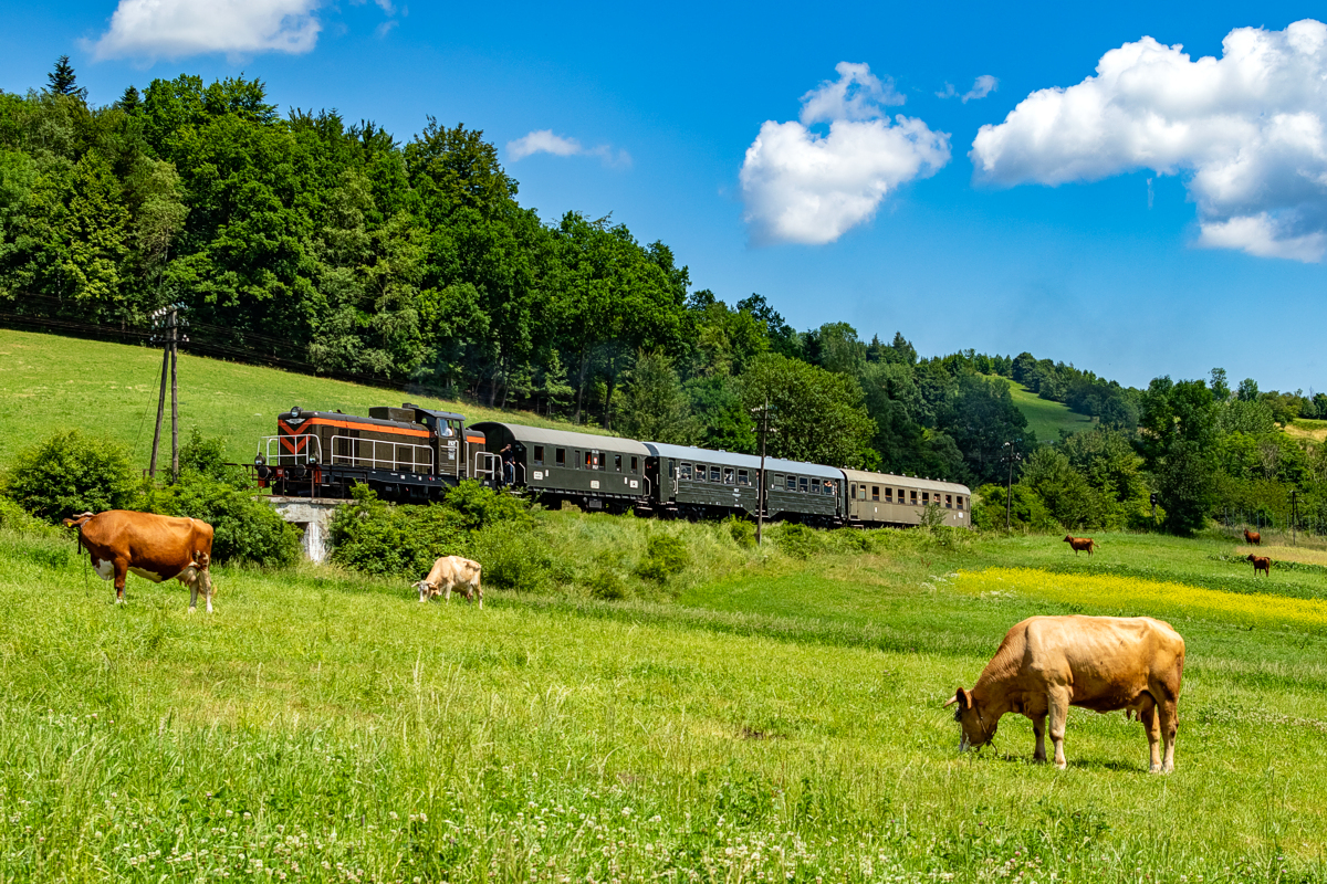 SM42-1006: Dobra koło Limanowej - Skrzydlna
