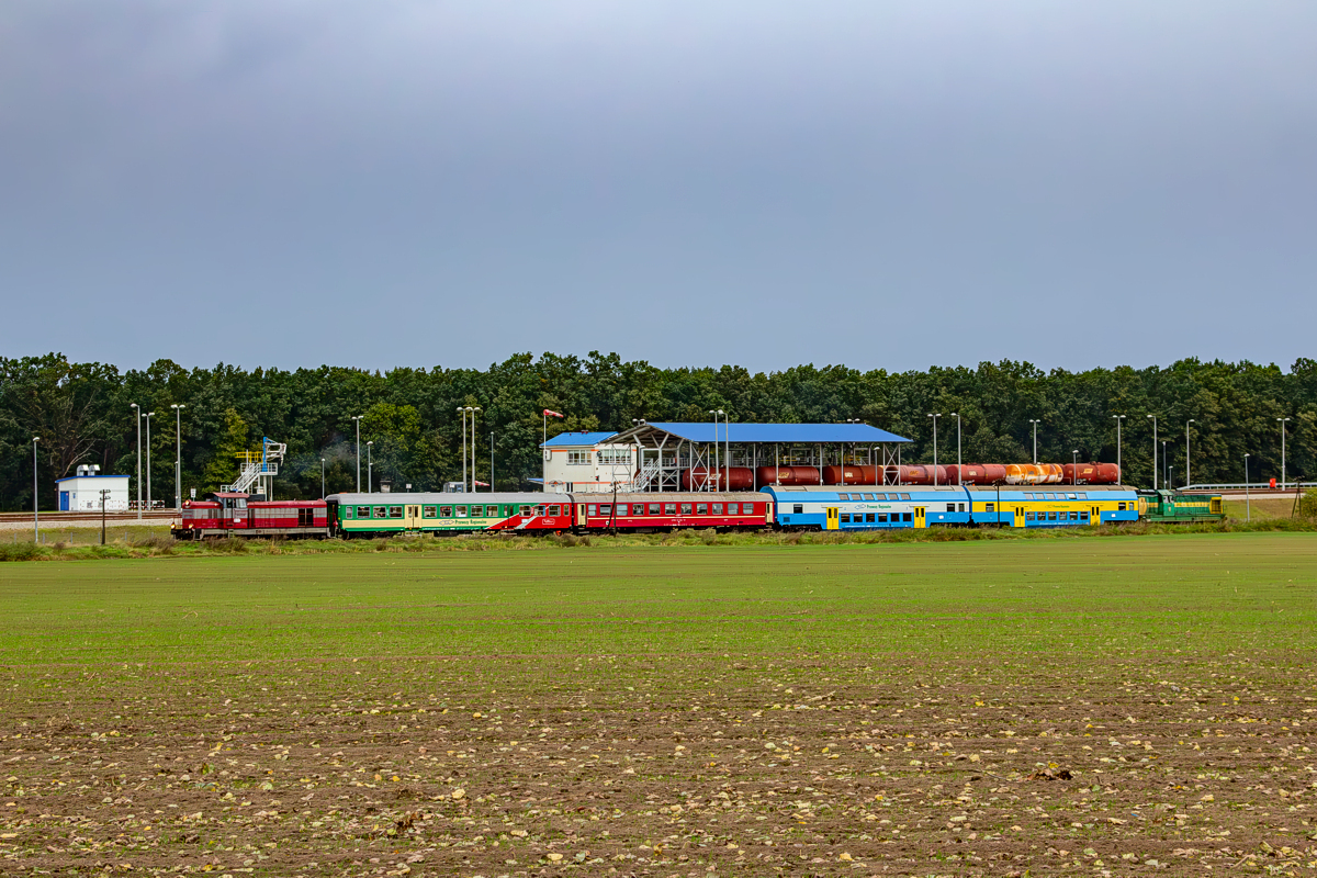 SM42-539: Wierzbno