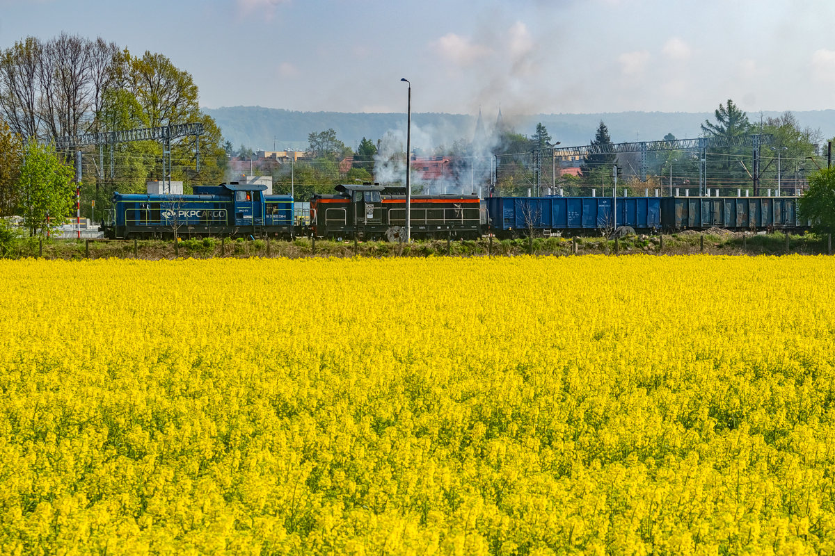 SM42-578+1031: Krzeszowice