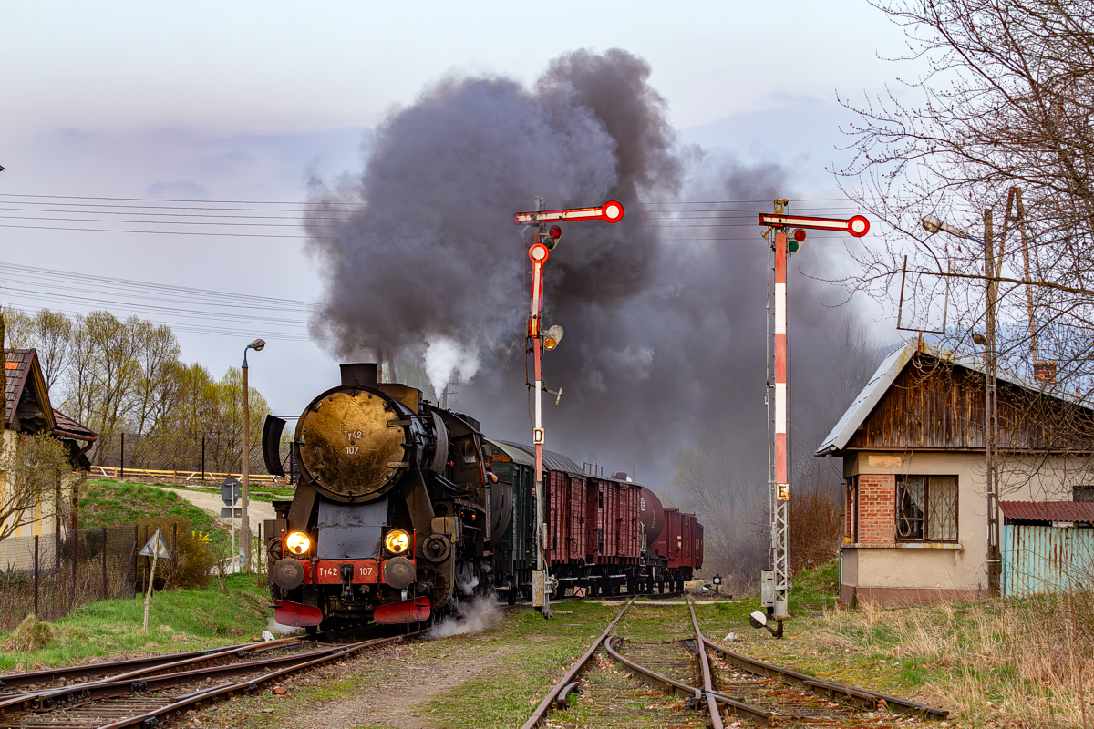 Ty42-107: Rabka Zaryte