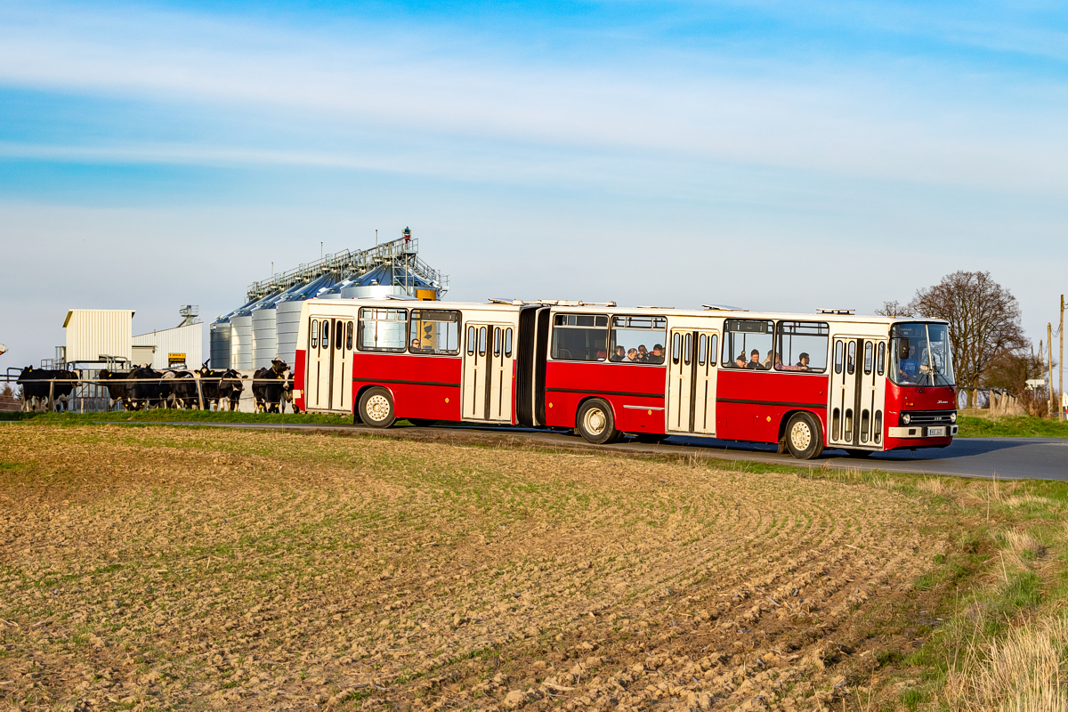 Ikarus 280.08A #8S3 2437: Svatbín - Brník