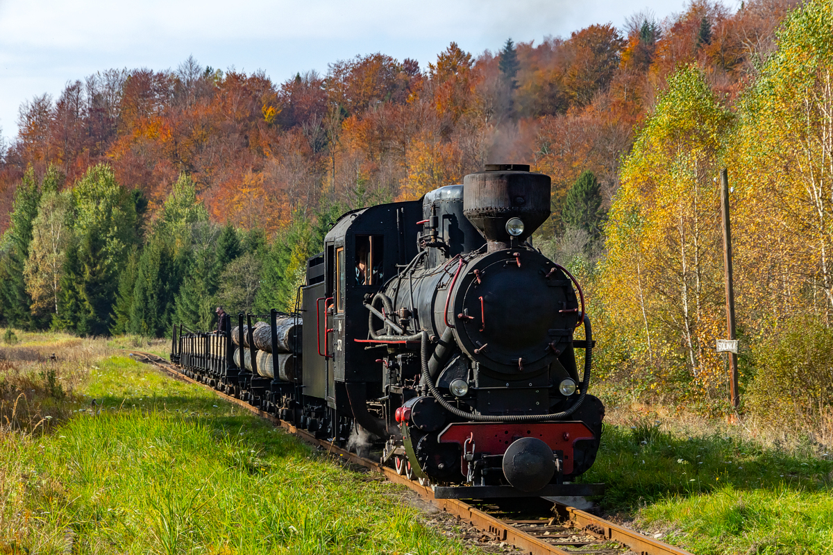 Kp4-3772: Solinka