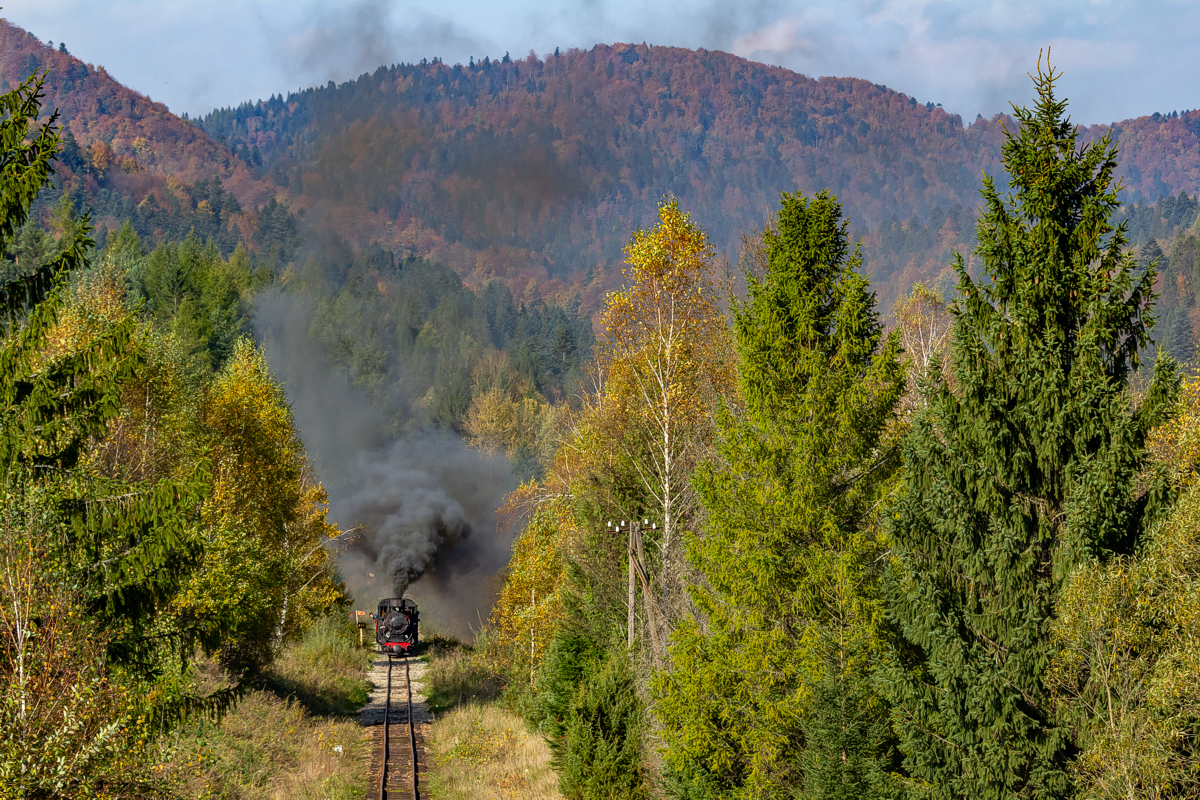 Kp4-3772: Dołżyca - Krzywe