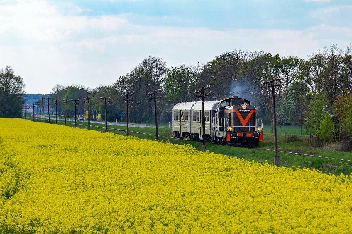 SP42-260: Kąkolewo - Garzyn