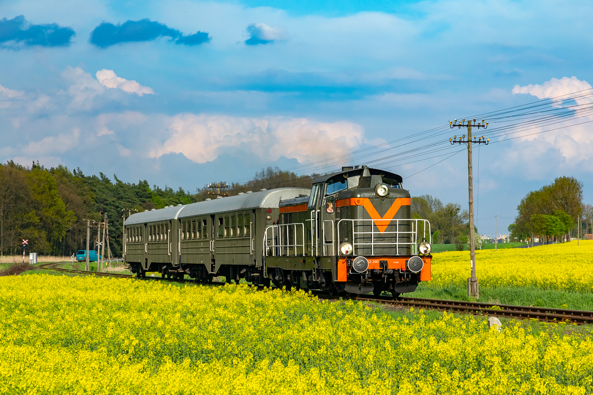 SP42-260: Gostyń - Gola