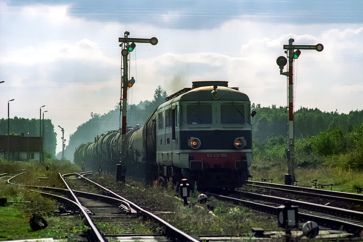 ST43-195: Trzcianka