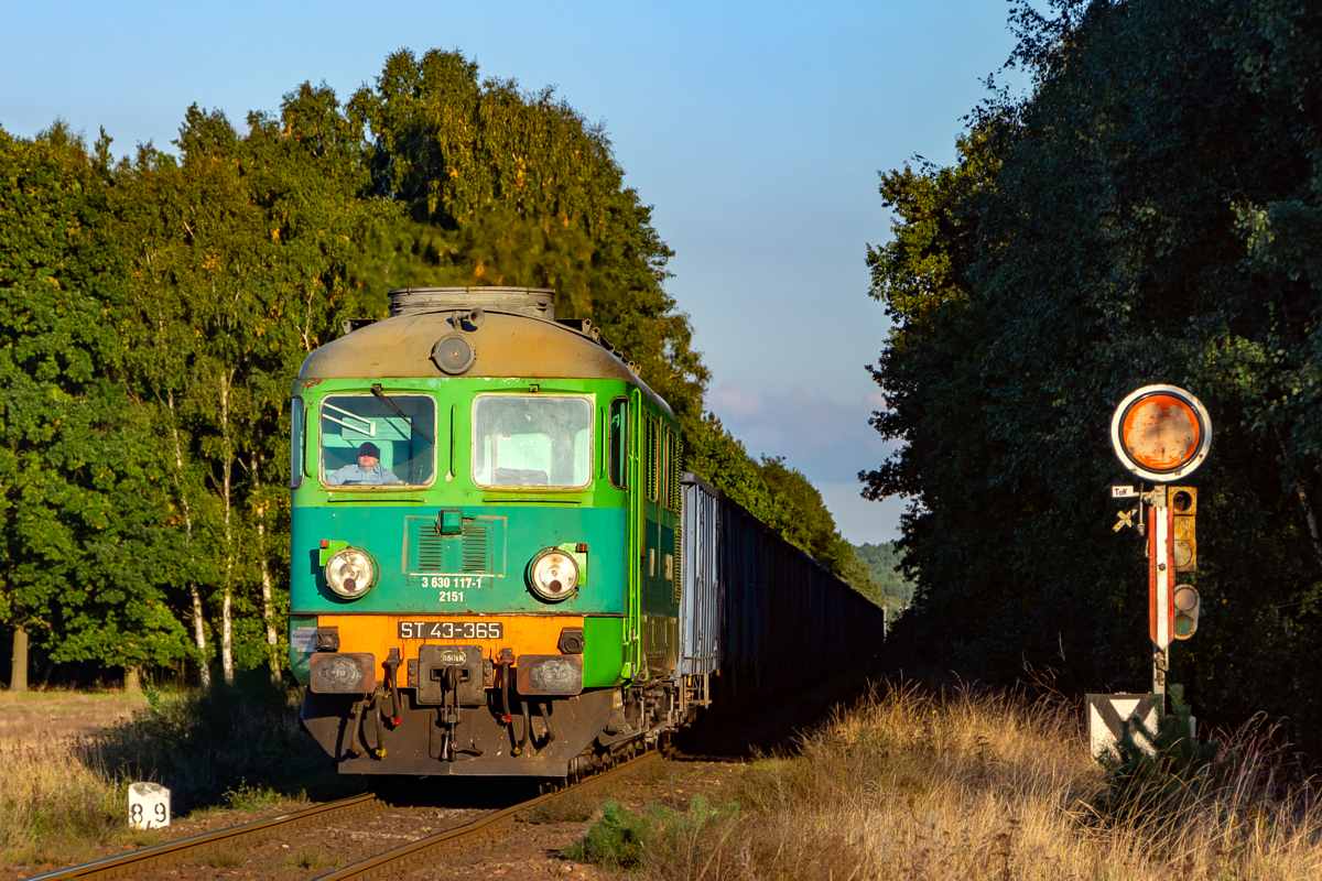 ST43-365: Wałowice - Gubin