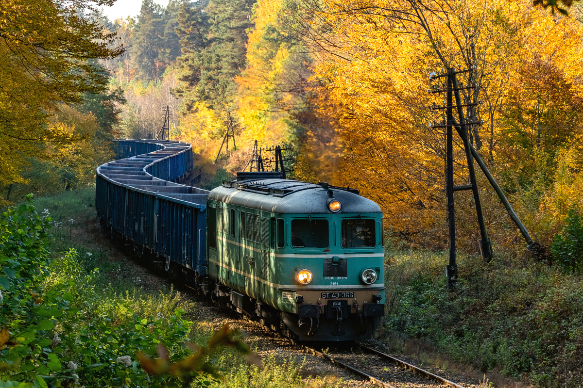 ST43-366: Horyniec-Zdrój - Dziewięcierz