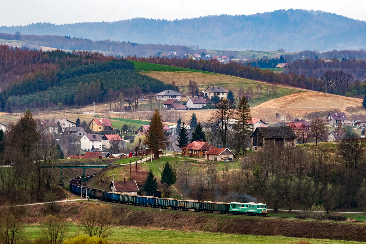 ST43-366: Strzyżów nad Wisłokiem - Zaborów