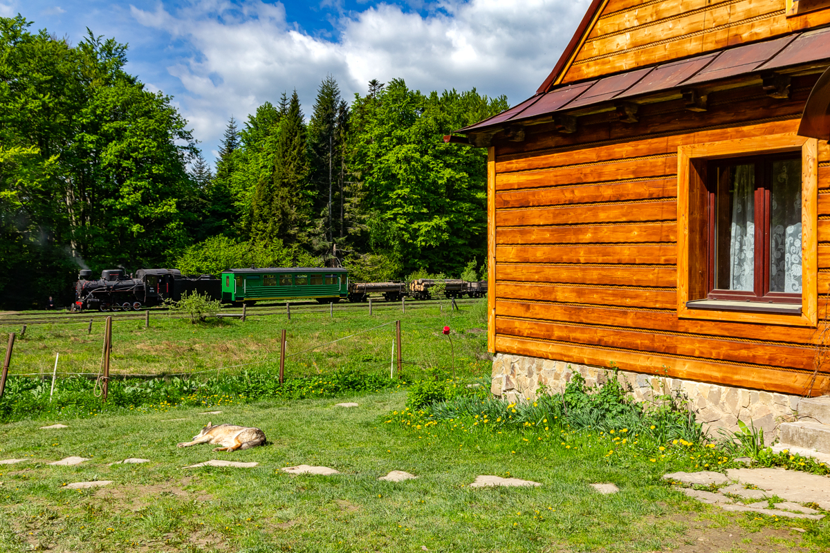 Kp4-3772: Balnica