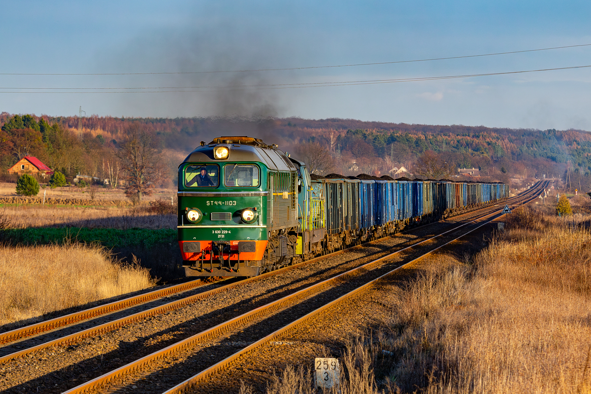 ST44-1103+SM42-658: Nowe Drezdenko - Stare Kurowo