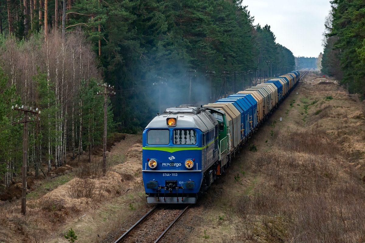 ST44-1113+SM42-1114: Rosochatka - Lipowa Tucholska