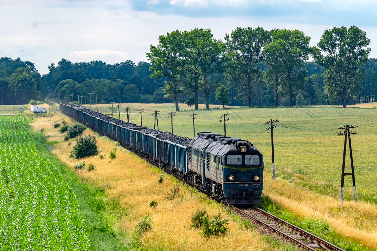 ST44-1229+1228: Karnkowo - Skępe