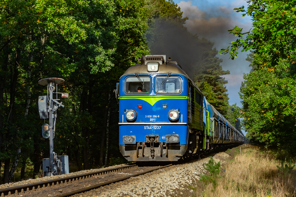 ST44-1237+SM42-1068: Wężyska - Wałowice