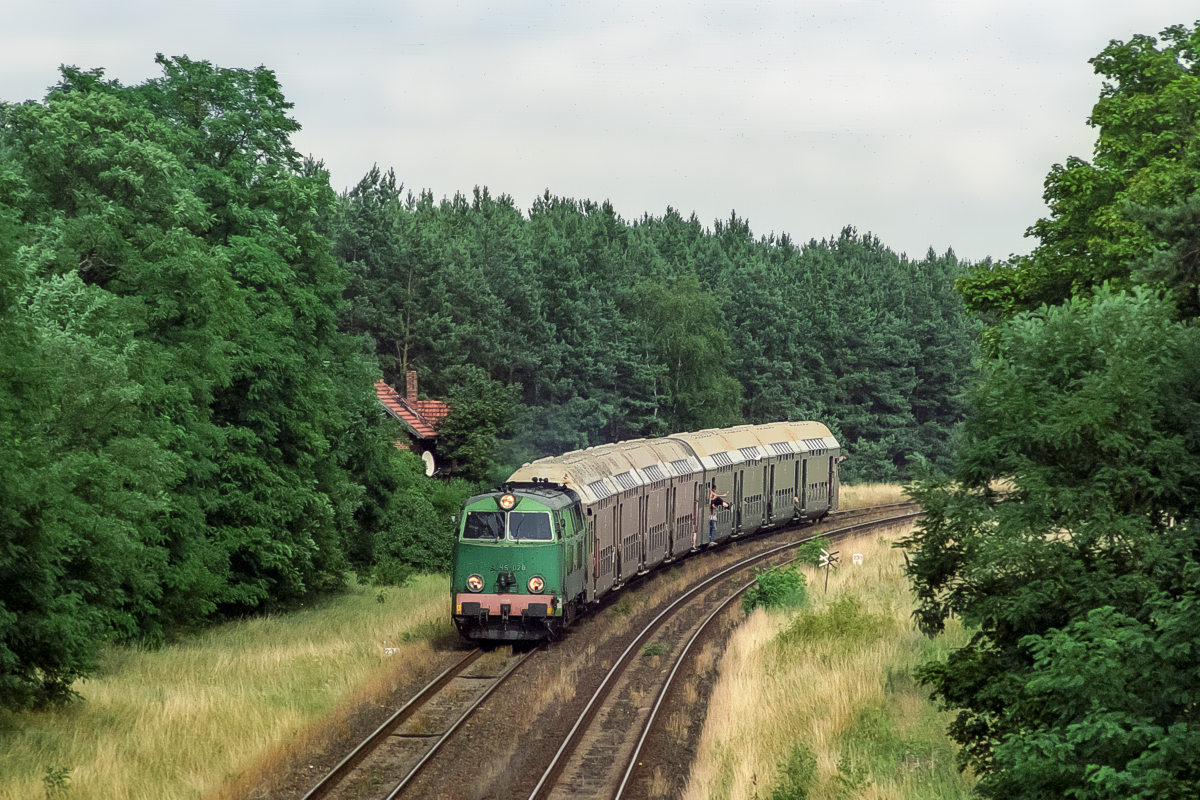 SU45-028: Wieleń Północny - Krzyż