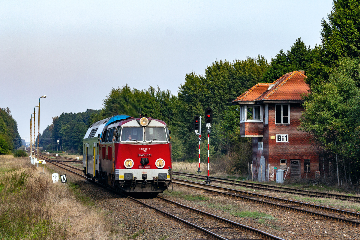 SU45-079: Biernatowo 
