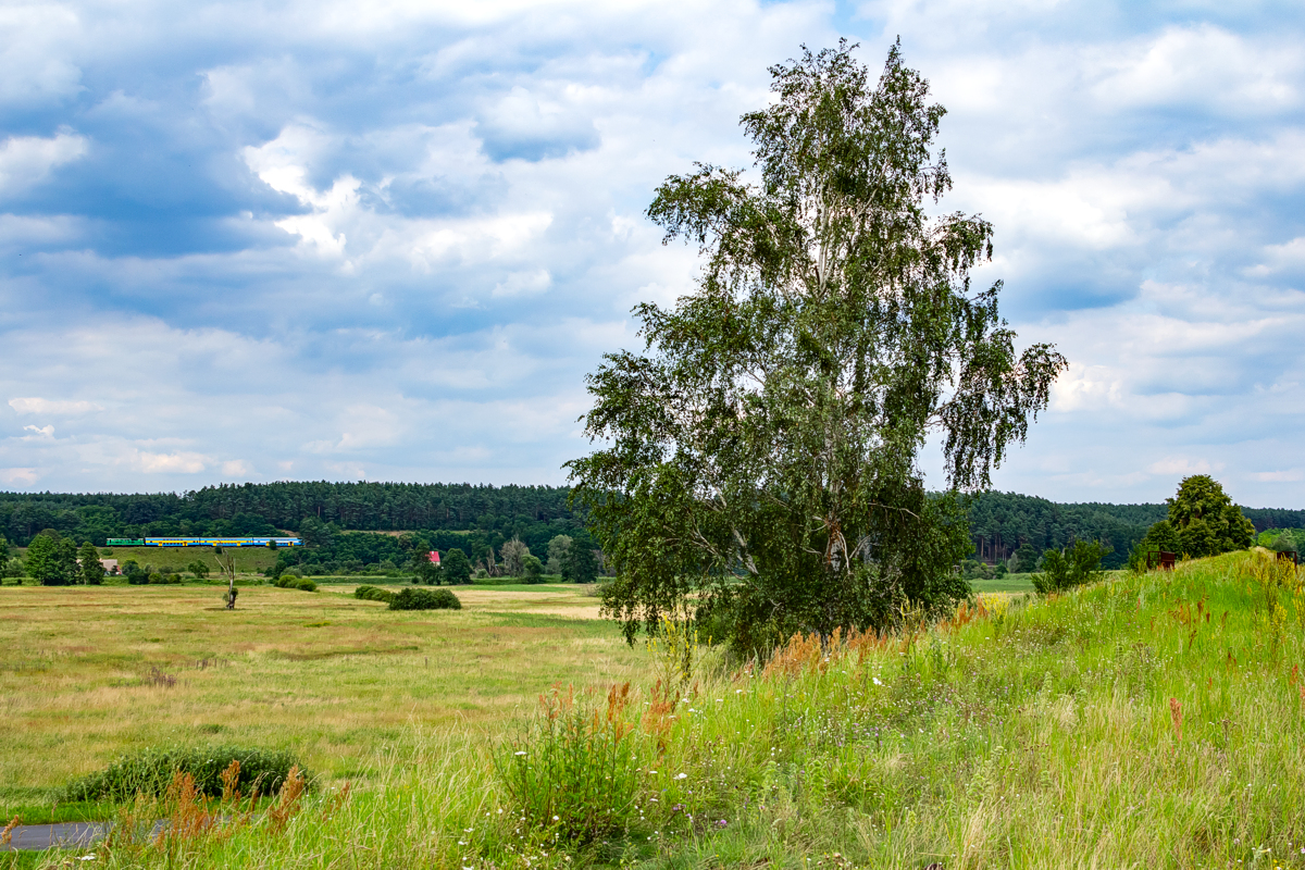 SU45-174: Stare Bielice - Nowe Drezdenko